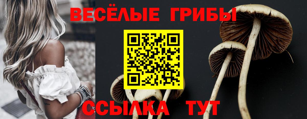 Новосибирск  Псилоцибиновые грибы мухоморы  Вход с VPN 