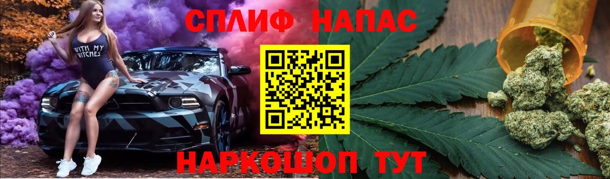 Бошки марихуана конопля Новосибирск
